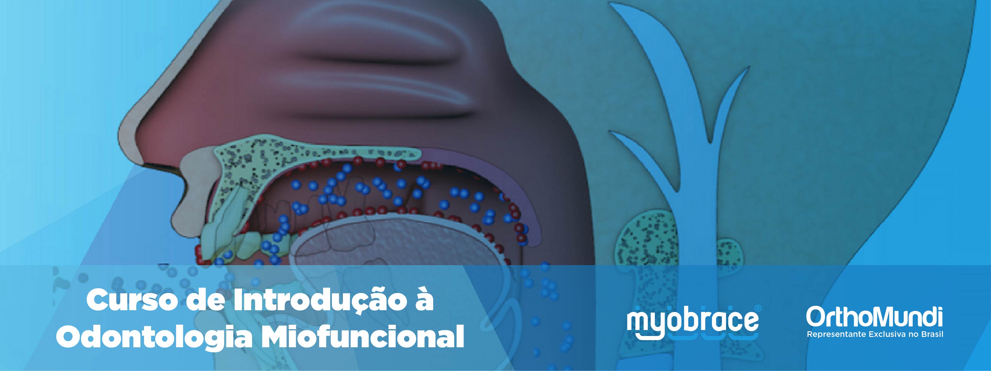 Banner - Curso de Introdução à Odontologia Miofuncional